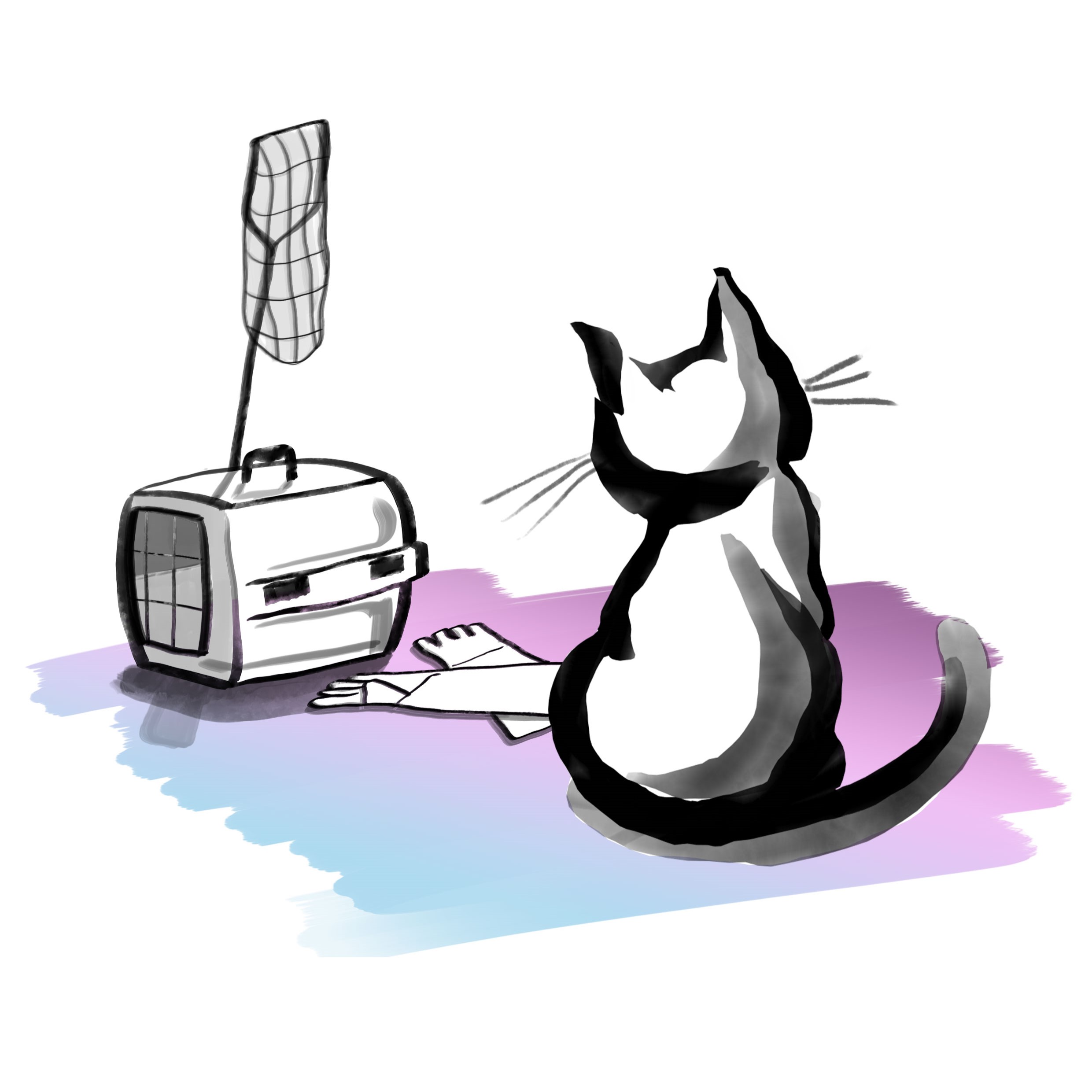 Chat-crantif