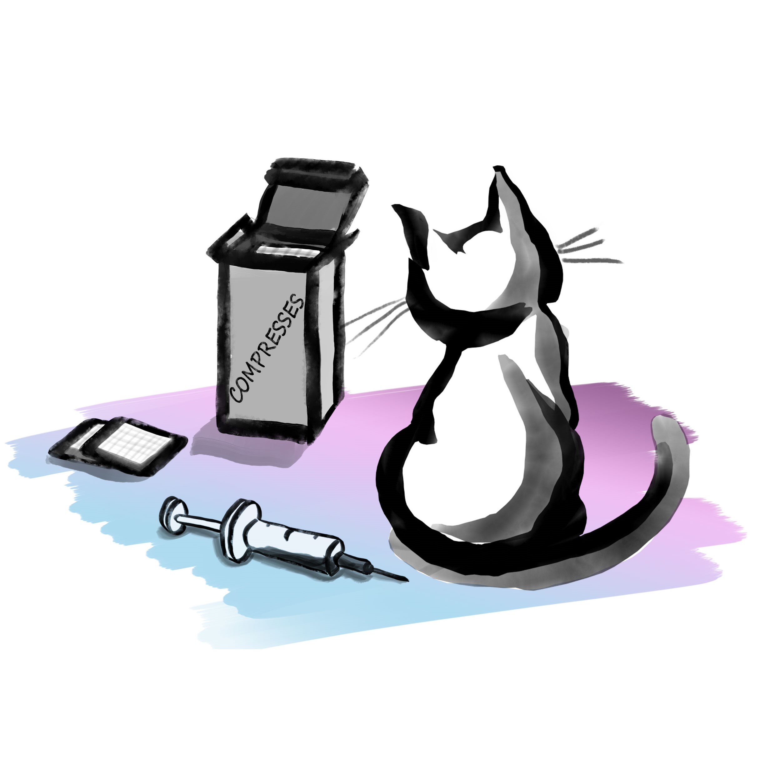 Chat-seringue