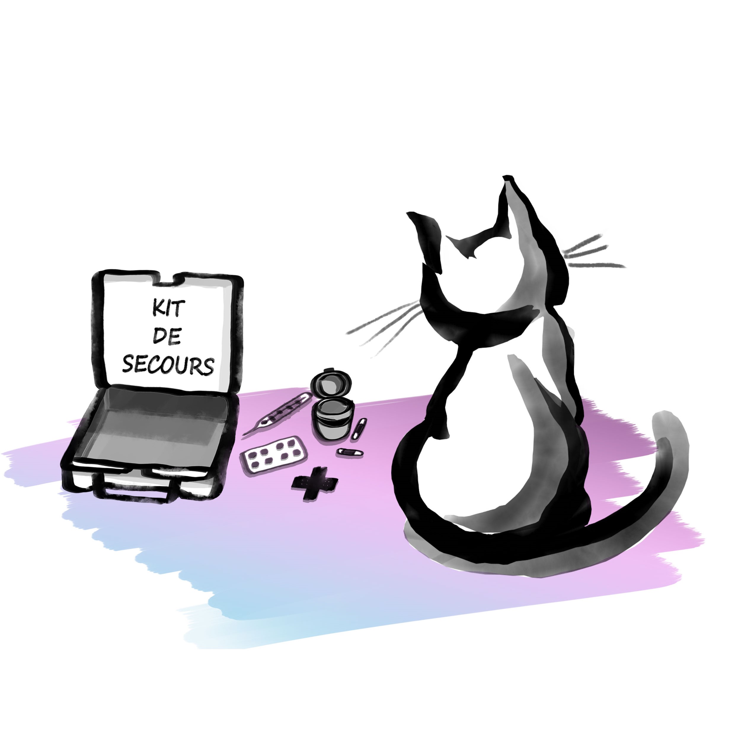 Chat-soin