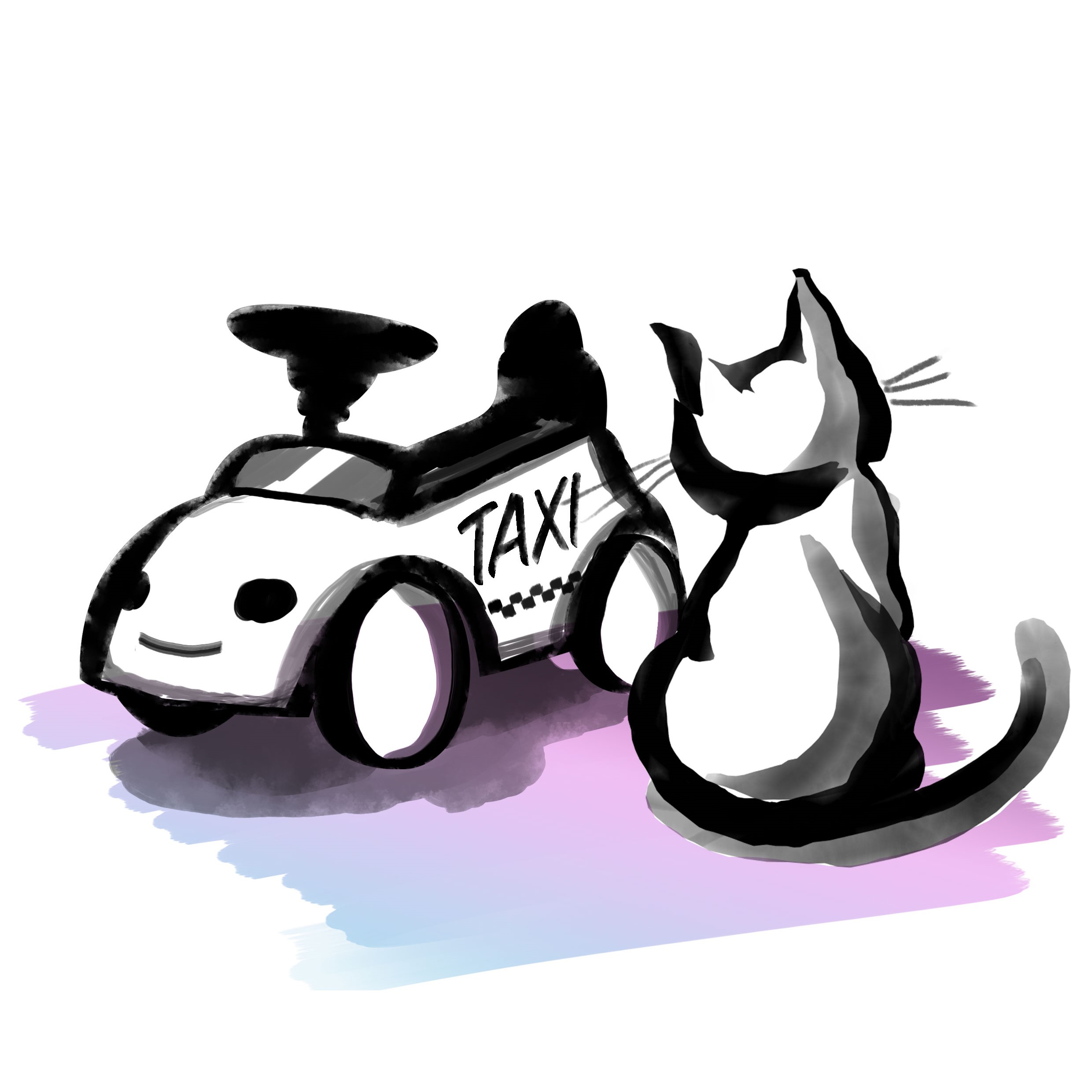 Chat-voiture